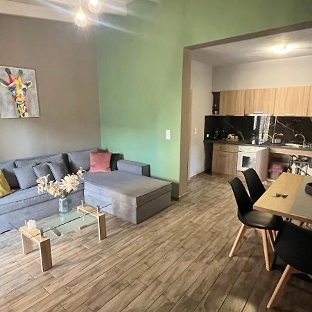 Ria'S Gardenview Apartment Ιωάννινα Εξωτερικό φωτογραφία